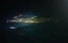 Pemuda Pasangkayu Tewas Diterkam Buaya Saat Cari Ikan