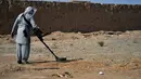 Organisasi penjinak ranjau HALO Trust memindai tanah untuk mencari ranjau dengan detektor logam di desa Nad-e-Ali, provinsi Helmand pada 9 November 2021. Sekitar 41.000 warga sipil Afghanistan terbunuh atau terluka oleh ranjau darat dan persenjataan yang tidak meledak sejak 1988. (Javed TANVEER/AFP)
