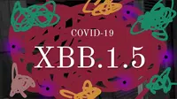 Muncul COVID-19 XBB.1.5, Ketahui Fakta tentang Subvarian yang Bikin Kasus di AS Menggila Ini