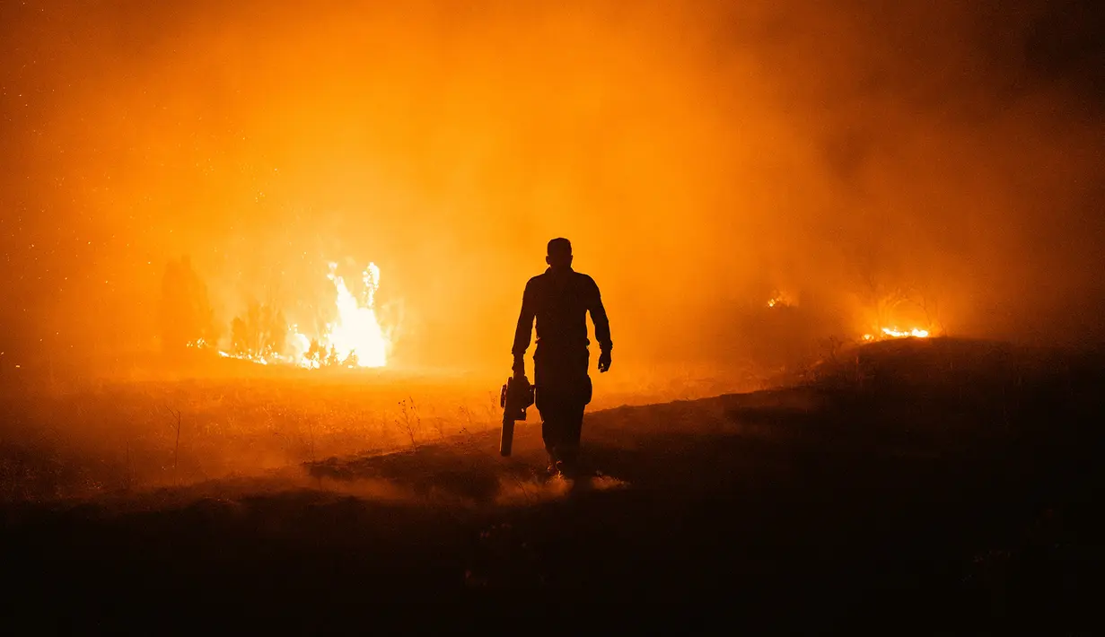 Warga setempat dan petugas pemadam kebakaran berjuang memadamkan kebakaran hutan di Deliblatska Pescara (Deliblato Sands), dekat desa Dubovac, sekitar 70 kilometer di timur laut Beograd, Serbia, Minggu, 9 Agustus 2026. (AFP/  Uros Arsic )