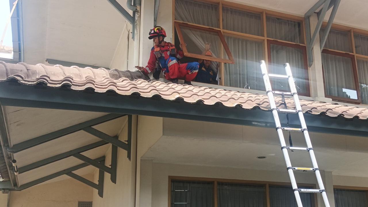 Detik-Detik Petugas Gabungan Evakuasi Macan Tutul Masuk Hotel di Bandung, Pakai Bius dan Jaring Besi