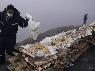 Seorang pria membawa dua llama muda yang mati untuk dibakar dalam ritual persembahan untuk Pachamama atau Ibu Pertiwi di pinggiran La Paz, Bolivia, Minggu (1/8/2021). Menurut tradisi Aymara, Pachamama terbangun lapar dan haus setiap bulan Agustus setelah musim kemarau. (AP Photo/Juan Karita)