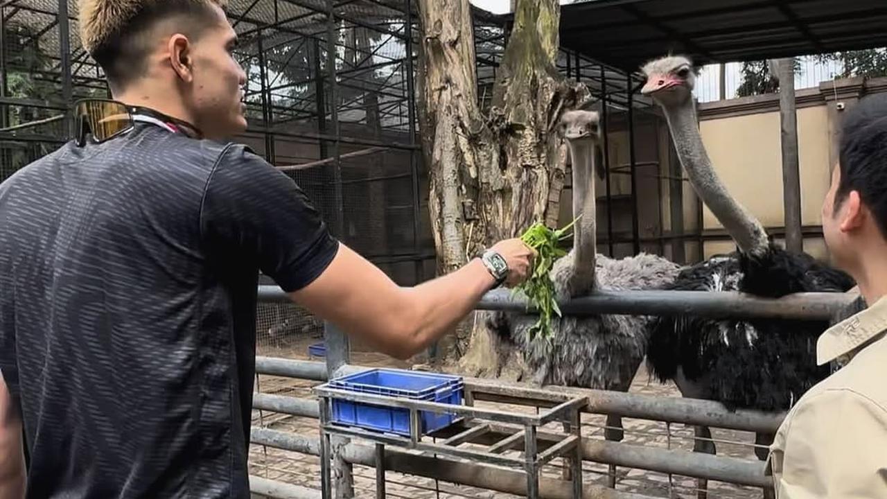 Potret Keseruan Aisar Khaled di Rumah Alshad Ahmad, Berasa Satu Hari di Kebun Binatang