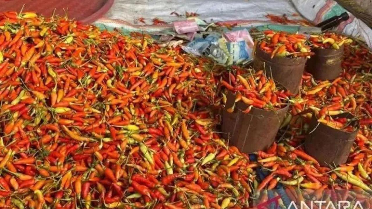 Harga Pangan Jelang Lebaran Meroket: Cabai Rawit Tembus Rp131.000 per Kg