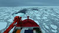 Kapal pemecah es kutub milik China Xuelong 2 berlayar melintasi area es terapung di Laut Kosmonaut dan bertolak untuk melakukan perjalanan melalui area Bumi antara 40 dan 50 derajat lintang selatan, dalam ekspedisi Antarktika ke-36 China, pada 10 Januari 2020. (Xinhua/Liu Shiping)