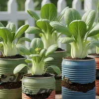 Sayuran yang Dapat Ditanam di Kaleng Bekas (Foto: Gemini AI)