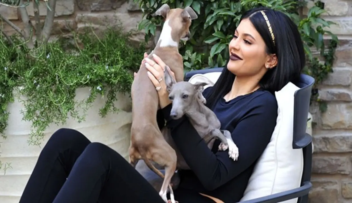 Bukan hanya sederet mobil mewah yang diberikan oleh Tyga, Kylie Jenner juga dapat 'hadiah' manis dari sang kekasih, yakni seekor anjing dengan harga 684 juta. (Dailymail)