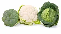 Kubis, brokoli, dan bunga kol tak disarankan untuk dikonsumsi saat diare. (Foto: drlydia.com)