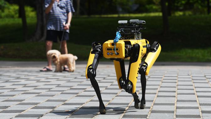SPOT, robot anjing yang dapat mendeteksi apakah pengunjung memakai masker atau tidak menjalani uji coba putaran keduanya di Bishan Park Singapura, 22 September 2020. Selain menjaga jarak sosial, SPOT meningkatkan kemampuan deteksi masker dan pemetaan 3D tanpa teknologi lidar. (Xinhua/Then Chih Wey)