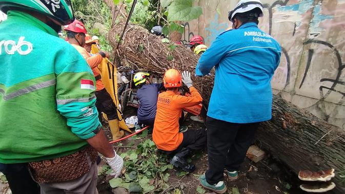 Monjali Berduka: Dua Nyawa Melayang Tertimpa Pohon Raksasa