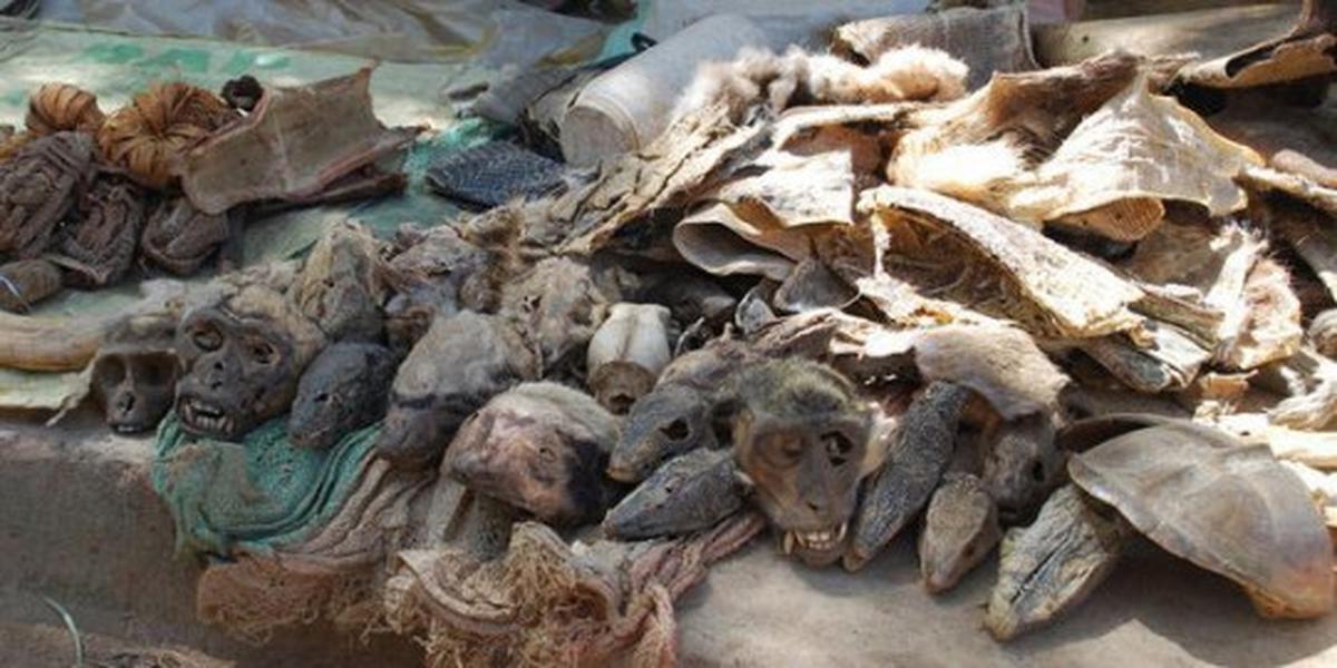 Akodessewa Fetish Market - Lome, Togo