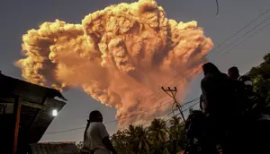 Tinggi kolom abu teramati kurang lebih 10.000 m di atas puncak atau sekitar 11.584 m di atas permukaan laut. Saat ini Gunung Lewotobi Laki-laki berada pada Status Level IV (Awas). Masyarakat yang bermukim dekat Gunung Lewotobi Laki-Laki diminta menjauhi radius bahaya sejauh tujuh kilometer. (Foto oleh AFP)