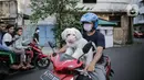 Seorang warga membawa anjing peliharaannya yang menggunakan masker di Jakarta, Selasa (12/5/2020). Masker yang dipasangkan oleh pemiliknya tersebut untuk melindungi anjing dari polusi udara serta mengantisipasi tertular virus corona COVID-19. (Liputan6.com/Faizal Fanani)