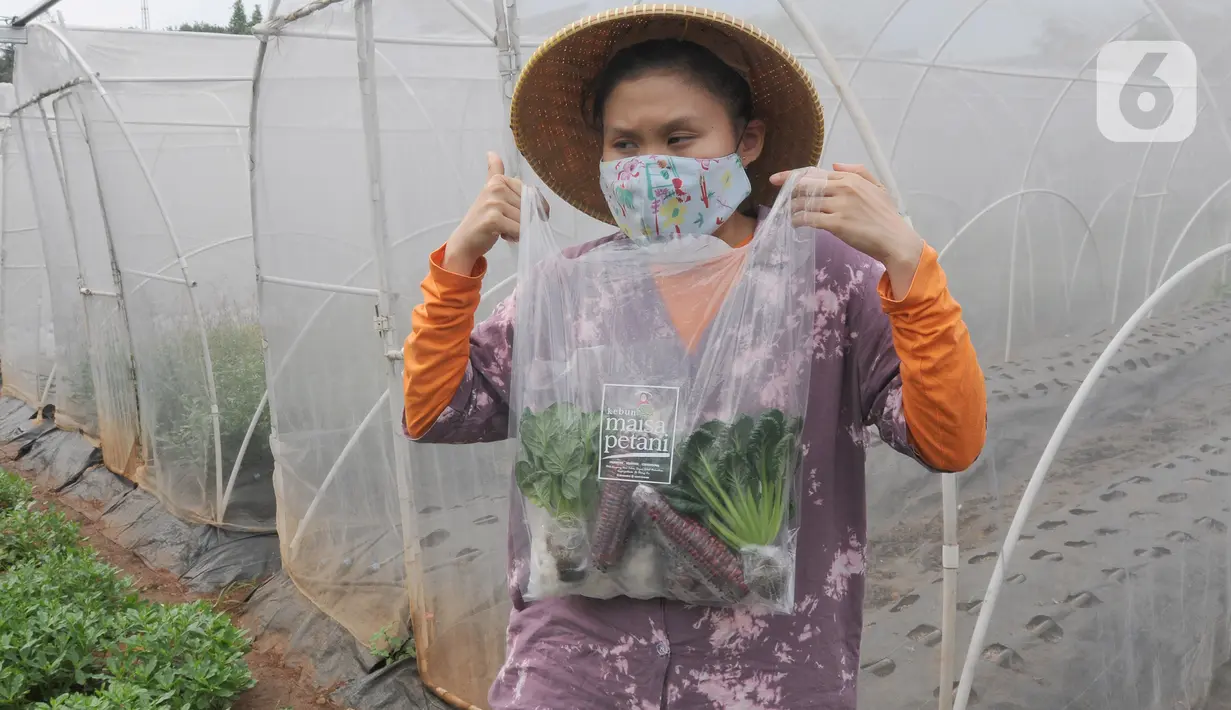 Maisa yang penyandang autisme menunjukkan hasil panen kebun hidroponik di kawasan Ciganjur, Jakarta, Rabu (9/2/2022). Berkat dukungan kedua orang tuanya, Kebun Maisya Petani yang dikelolanya selama lebih dari dua tahun mampu mencukupi kebutuhan sehari-hari dan pegawainya. (merdeka.com/Arie basuki)