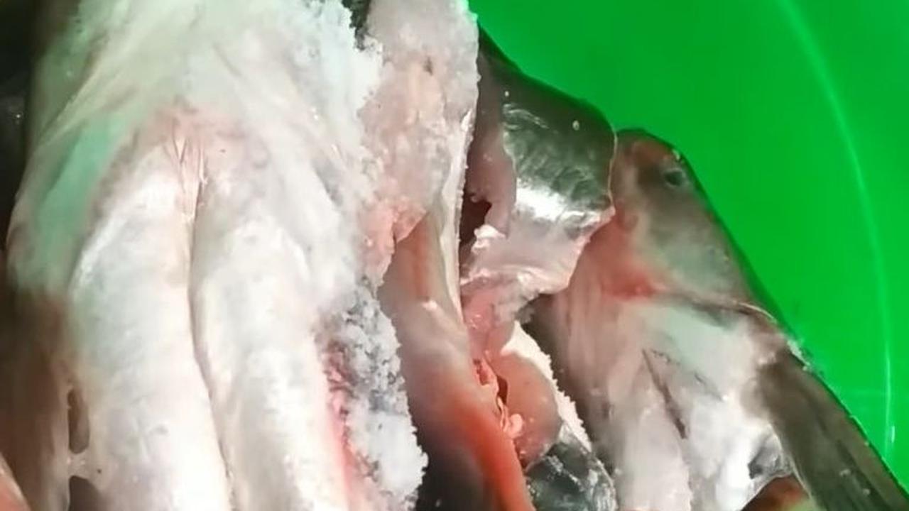 Taburi dengan Garam
