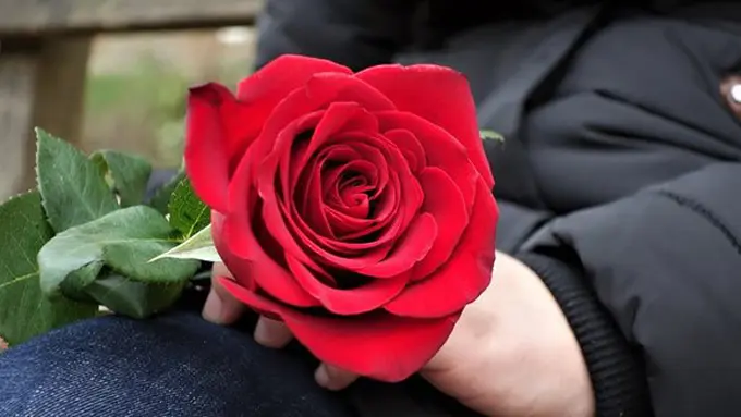 Ilustrasi./Copyright pixabay.com