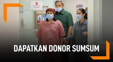 Ani Yudhoyono akan dapatkan donor sumsum tulang belakang. Adik kandung Ani, Pramono Edhie Wibowo adalah pendonornya.