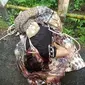 Mayat laki-laki tanpa identitas, yang terlilit kabel ditemukan di pinggir jalan Raya Kampung Mekarpamili, Kecamatan Cisewu, Kabupaten Garut, kemarin. (Liputan6.com/Jayadi Supriadin)