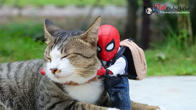 Seniman Ini Potret Boneka Spiderman dengan Kucing, 7 Hasilnya Kocak