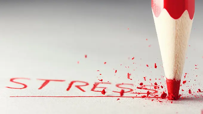 Courtesy ShutterStock.com