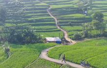 Viral Pemandangan Sawah Cisema Banjaran di Bandung, Intip Keindahannya yang Mirip Lukisan
