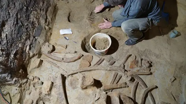 Penemuan Tulang Mammoth