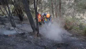 Karhutla Gunung Bromo Capai 550 Hektare