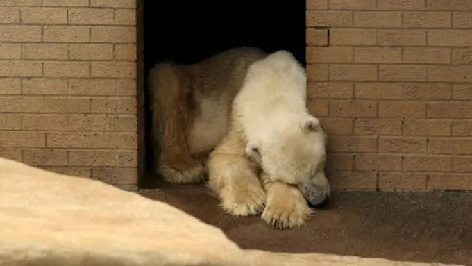 Foto: copyright metro.co.uk