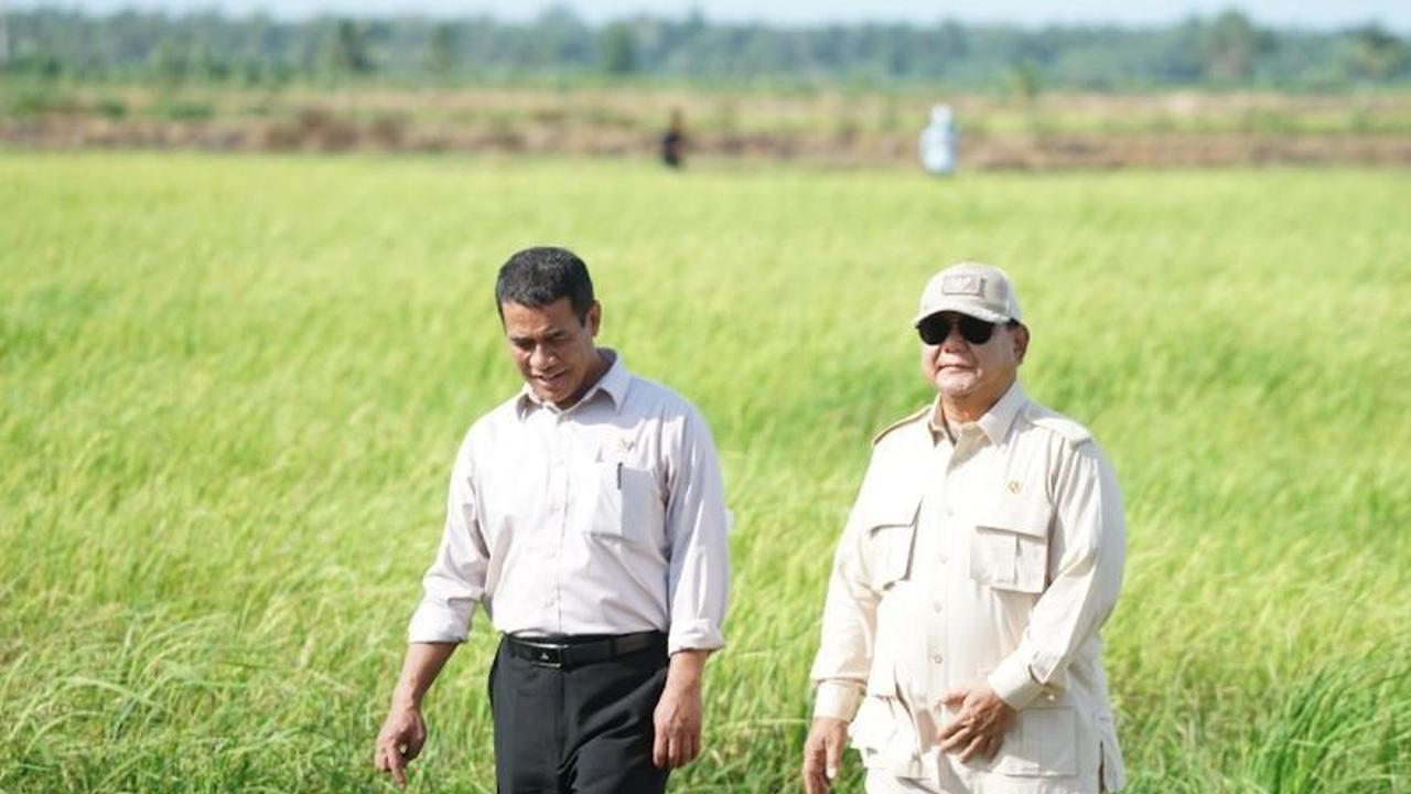 Berkat Petani dan Kebijakan Presiden, Ketahanan Pangan Indonesia Kokoh di Tengah Krisis Global
