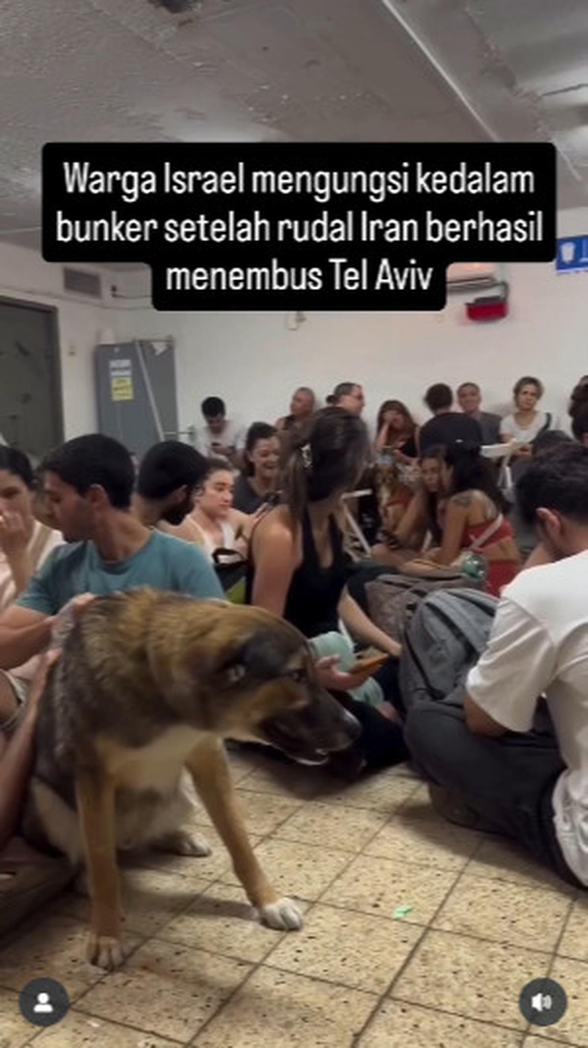 Warga Israel Ketakutan Sembunyi di Bunker Usai Rudal Iran Hancurkan Tel Aviv, Hewan Peliharaan Dibawa