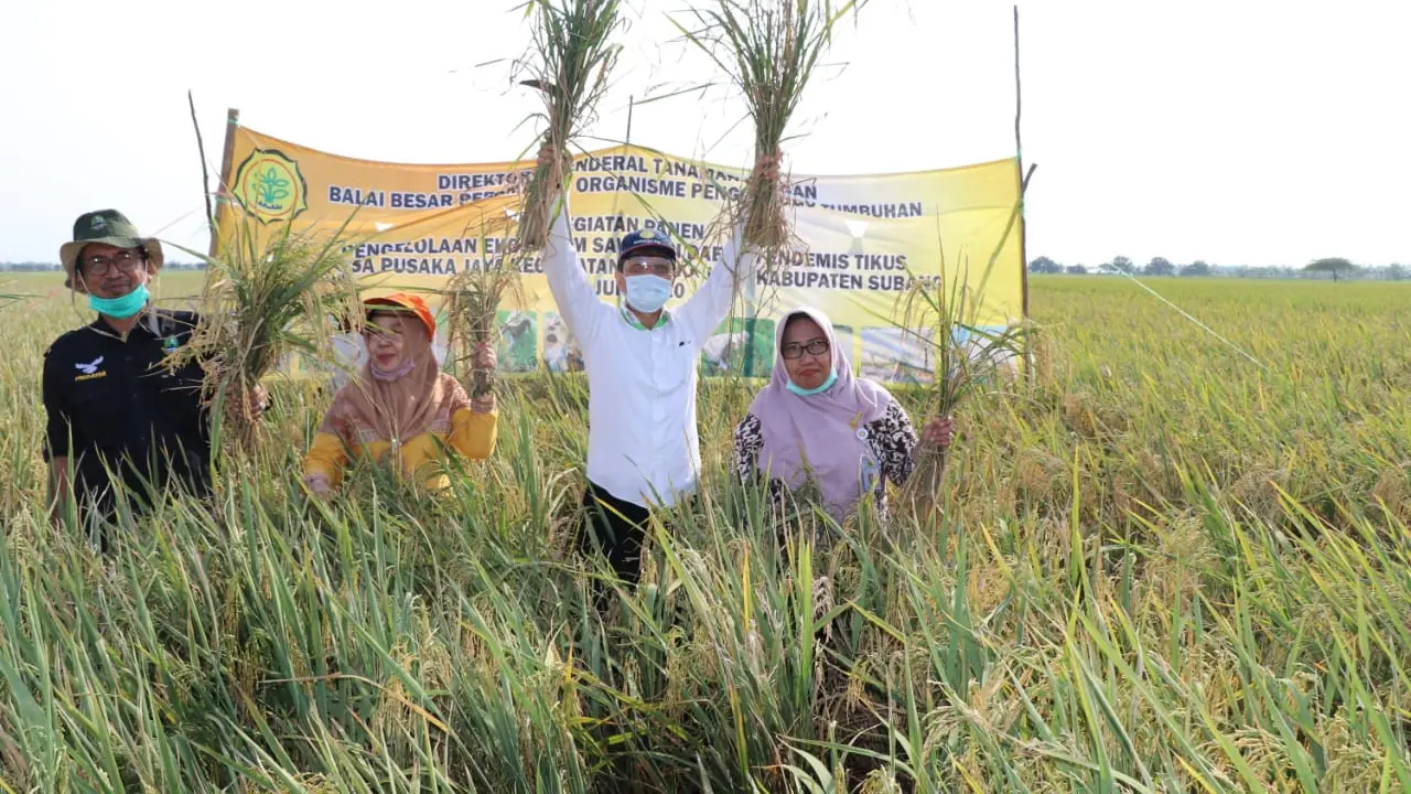 Kementan