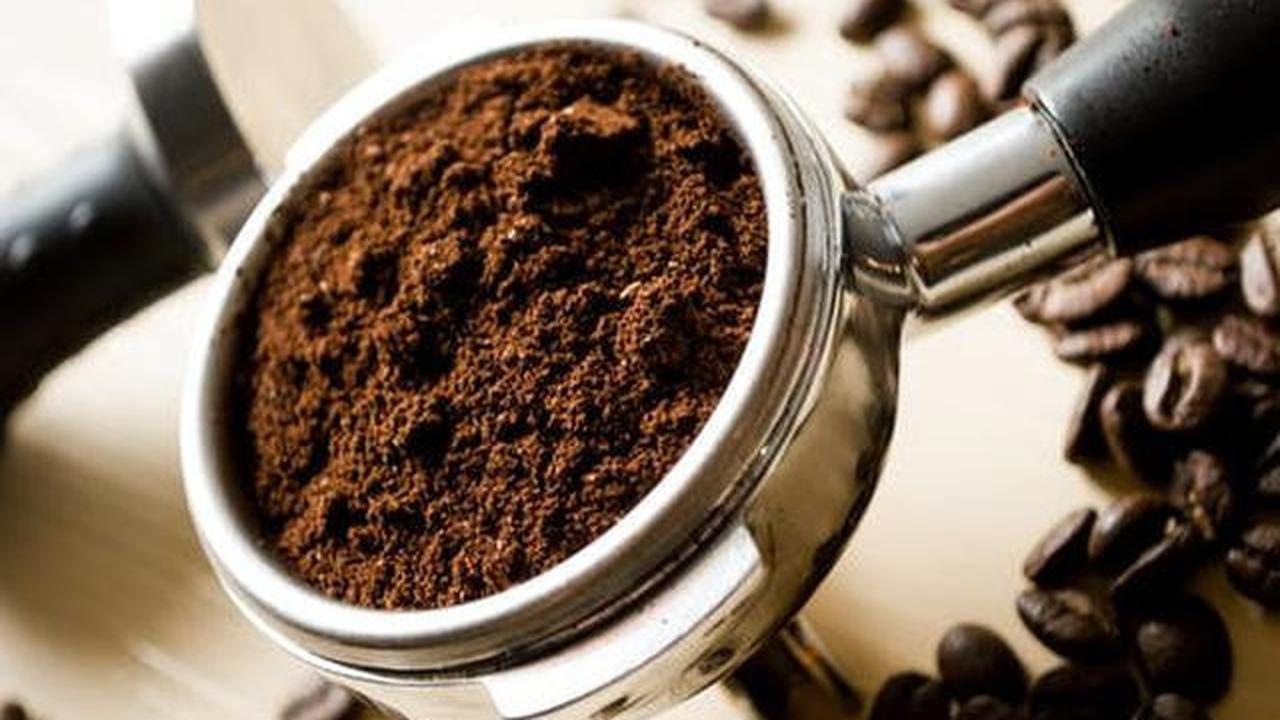 5 Cara Menghilangkan Bau Kecoa di Gelas dengan Bahan Dapur