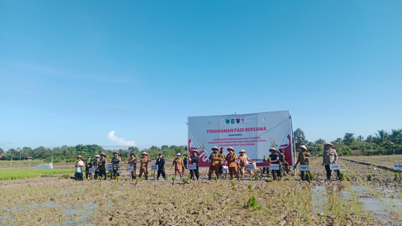 Yonif TP 806/SI bersama Forkopimda Provinsi Papua Barat Daya dan Masyarakat Kabupaten Sorong melakukan penanaman padi bersama