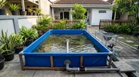 6 Ide Kolam Lele dengan Sistem Pembuangan Air, Bikin Perawatan Lebih Mudah
