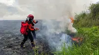 Pemadaman kebakaran hutan di wilayah Taman Nasional Rawa Aopa, Minggu (31/1/2021).(Liputan6.com/Ahmad Akbar Fua)