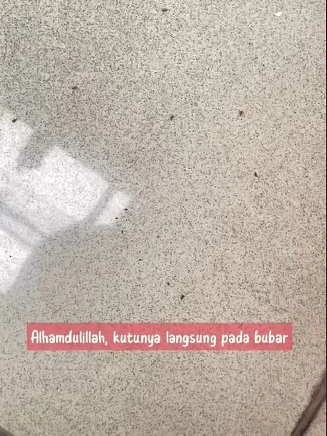 Tanpa Cabai Apalagi Cuka, Ini Cara Usir Kutu Beras yang Paling Efektif