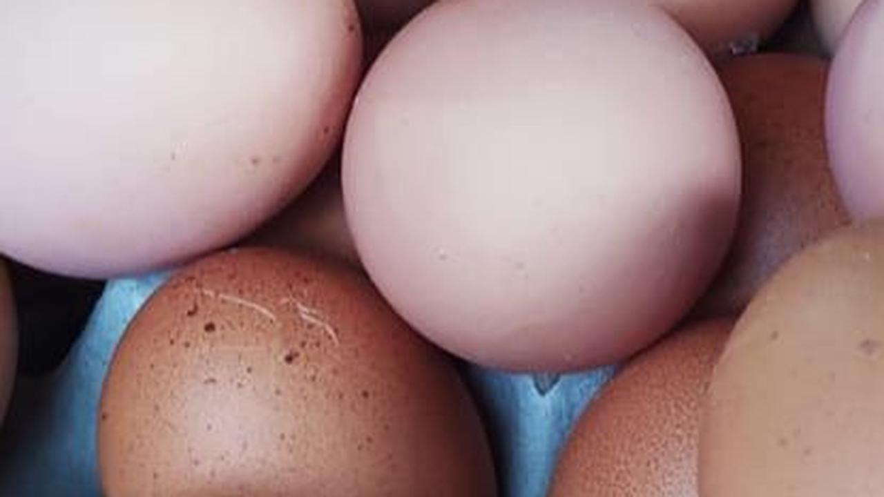 Harga Telur Ayam Naik Tajam Jelang Ramadan, Pedagang Khawatir Pelanggan Kabur