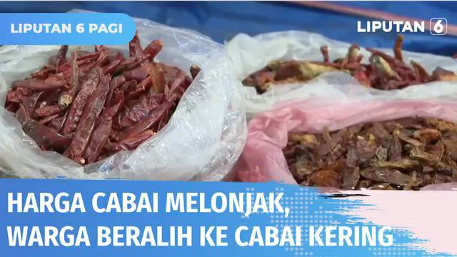 Harga cabai yang terus melonjak tak urung membuat masyarakat mengeluh. Untuk menyiasati, seorang pemilik warung di Surabaya menjual cabai hasil kebun miliknya dalam kemasan kecil. Cabai yang dijual Rp 2000 per bungkus disambut baik pembeli.