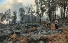 Pendakian Gunung Arjuno Dibuka Lagi Setelah Setahun Ditutup, Dibatasi 400 Pendaki