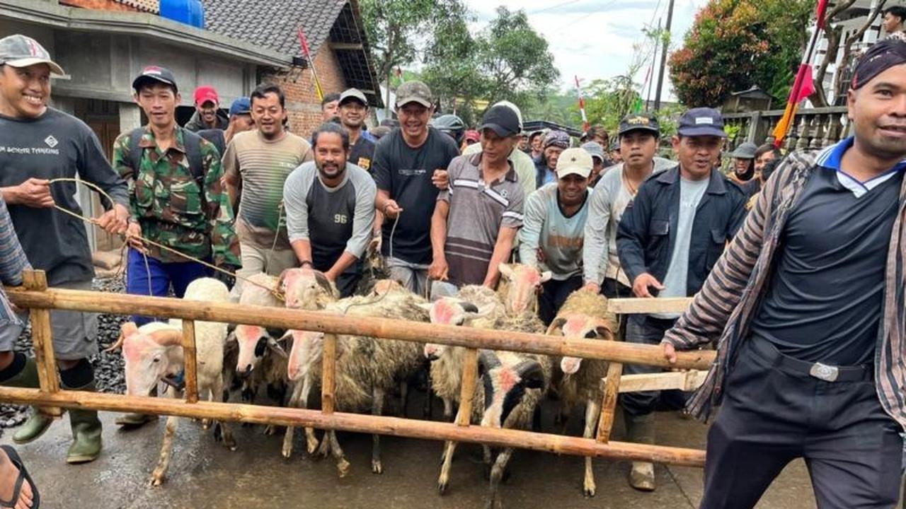 Tradisi Sadranan Dusun Pete Kandangan: 94 Kambing Disembelih untuk Hormati Leluhur dan Wujud Syukur