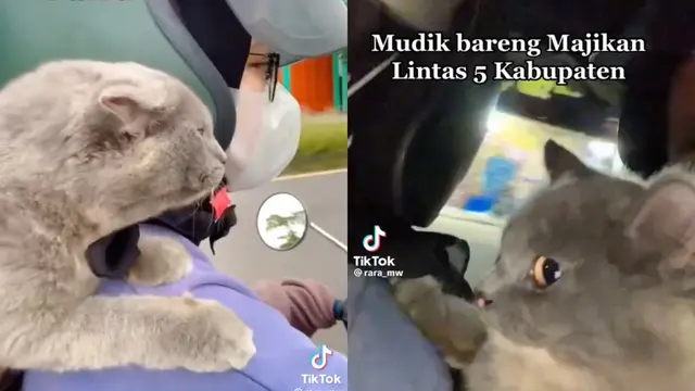 Viral Mudik Lebaran Idul Fitri 2023 Bawa Anabul Gunakan Motor.