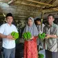 Anggota DPRD Jatim, Deni Prasetya panen pisang cavendish di Dusun Geladak Langsep, Desa Sumber Jambe, Jember. (Istimewa).