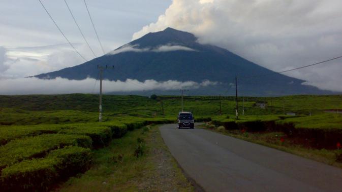 Hamparan perkebunan teh peninggalan Belanda masih asri terjaga di kaki Gunung Kerinci. (B Santoso/Liputan6.com)