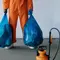 Cara Mencegah Lalat Masuk ke Tempat Sampah, Hindari Hal-Hal yang Mengundangnya