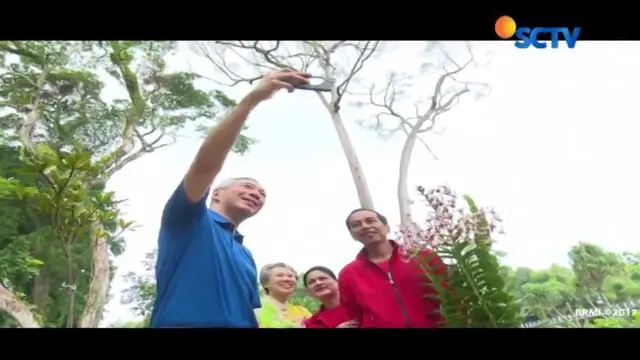 Rising Tree, Simbol 50 Tahun Hubungan Diplomatik Indonesia dan Singapura