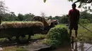 Aktivitas petani seusai memanen kangkung di kawasan Tangerang, Banten, Jumat (24/7/2020). Kakung tersebut nantinya akan di jual ke pasar di sekitar wilayah tersebut dengan harga 3000 per ikat. (Liputan6.com/Angga Yuniar)