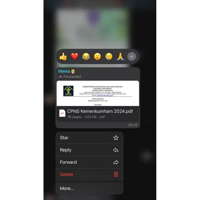 6 Chat Ibu Kirim Pengumuman CPNS ke Anak Ini Bikin Senyum Tipis