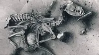 Ilmuwan mengungkapkan rahasia dari makam anjing prasejarah terbesar di dunia