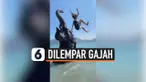 THUMBNAIL GAJAH