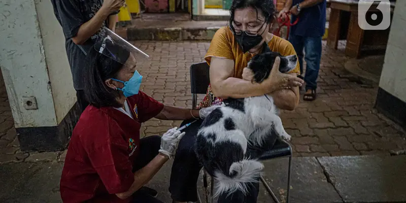 Vaksinasi Rabies untuk Hewan Peliharaan